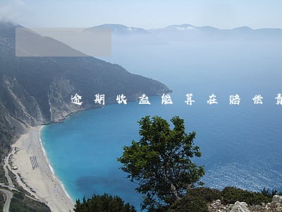 逾期收益能算在赔偿责任范围内吗 逾期收益能算在赔偿责任范围内吗
