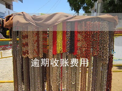 逾期收账费用 逾期收账费用