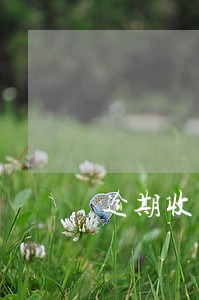 逾期收费计算公式 逾期收费计算公式
