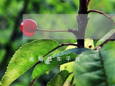 逾期收车平台 逾期收车平台