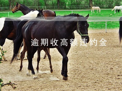 逾期收高额违约金 逾期收高额违约金
