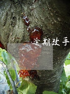 逾期改手机服务密码 逾期改手机服务密码