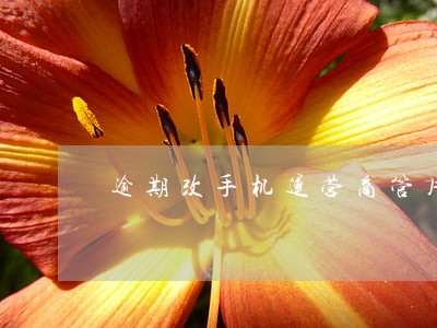 逾期改手机运营商管用吗 逾期改手机运营商管用吗