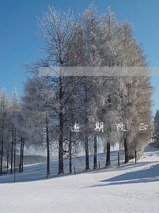 逾期改正违法行为 逾期改正违法行为