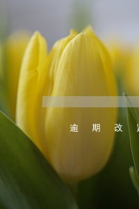 逾期改紧急联系人 逾期改紧急联系人
