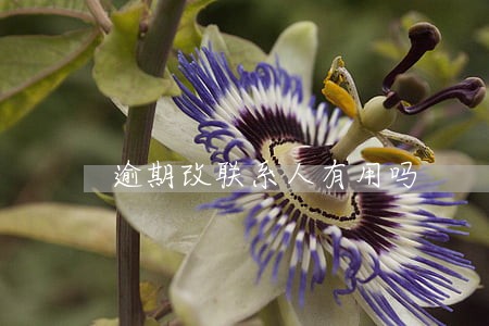 逾期改联系人有用吗 逾期改联系人有用吗