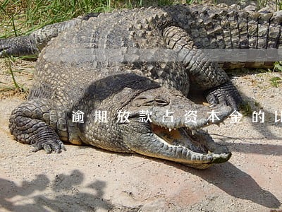 逾期放款占资本金的比率 逾期放款占资本金的比率