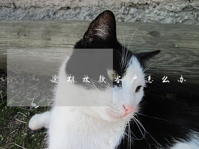 逾期放款客户怎么办 逾期放款客户怎么办