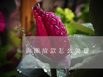 逾期放款怎么处理 逾期放款怎么处理