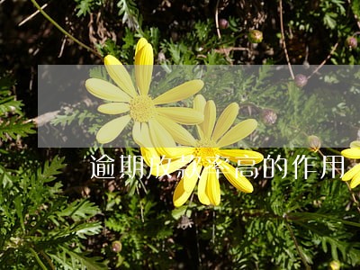 逾期放款率高的作用 逾期放款率高的作用