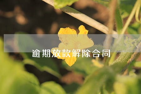 逾期放款解除合同 逾期放款解除合同