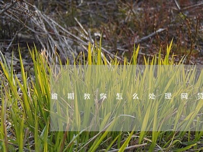 逾期教你怎么处理网贷 逾期教你怎么处理网贷