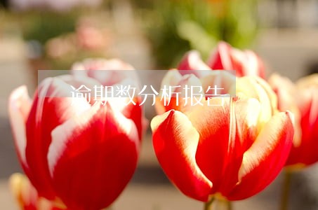 逾期数分析报告 逾期数分析报告