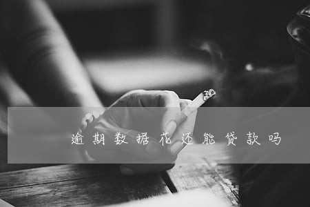 逾期数据花还能贷款吗 逾期数据花还能贷款吗