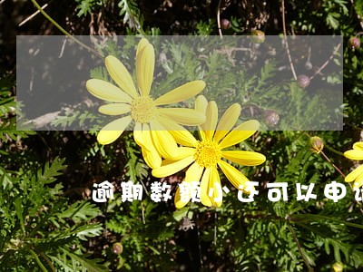 逾期数额小还可以申请房贷 逾期数额小还可以申请房贷