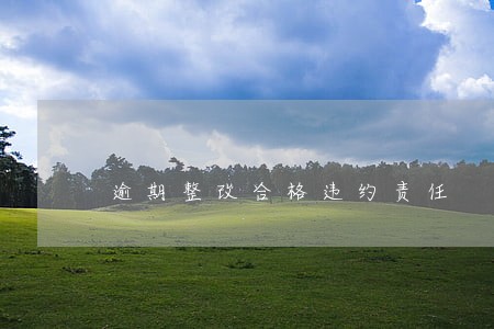 逾期整改合格违约责任 逾期整改合格违约责任