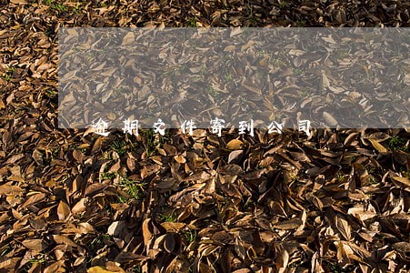 逾期文件寄到公司 逾期文件寄到公司
