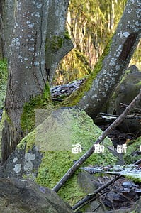 逾期断电交上以后会自动来电吗 逾期断电交上以后会自动来电吗