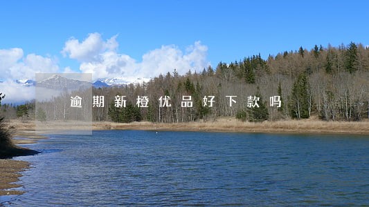 逾期新橙优品好下款吗 逾期新橙优品好下款吗