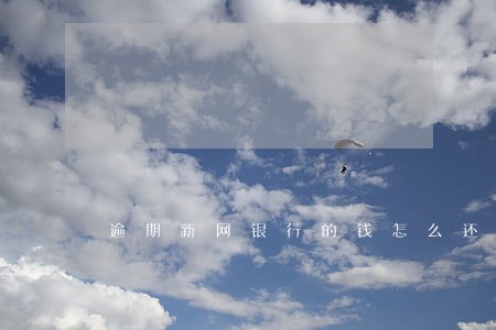 逾期新网银行的钱怎么还 逾期新网银行的钱怎么还