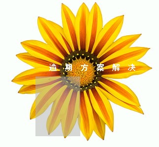 逾期方案解决 逾期方案解决