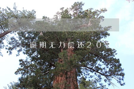 逾期无力偿还2020新规定 逾期无力偿还2020新规定