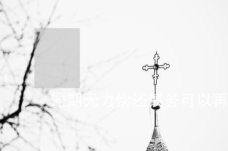 逾期无力偿还债务可以再交吗