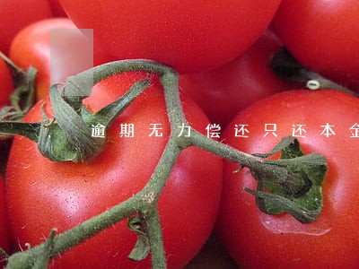 逾期无力偿还只还本金可以吗