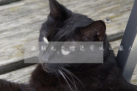 逾期无力偿还可以让家人借款还吗