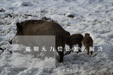 逾期无力偿还怎么解决 逾期无力偿还怎么解决