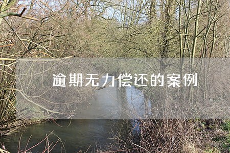 逾期无力偿还的案例 逾期无力偿还的案例