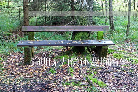 逾期无力偿还要拘留坐牢吗