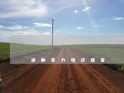逾期无力偿还规定