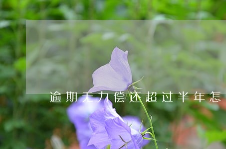 逾期无力偿还超过半年怎么办