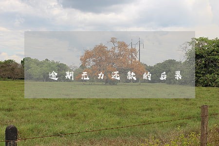 逾期无力还款的后果