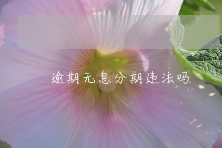 逾期无息分期违法吗 逾期无息分期违法吗