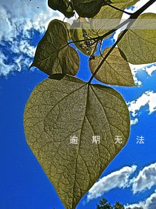 逾期无法借贷 逾期无法借贷