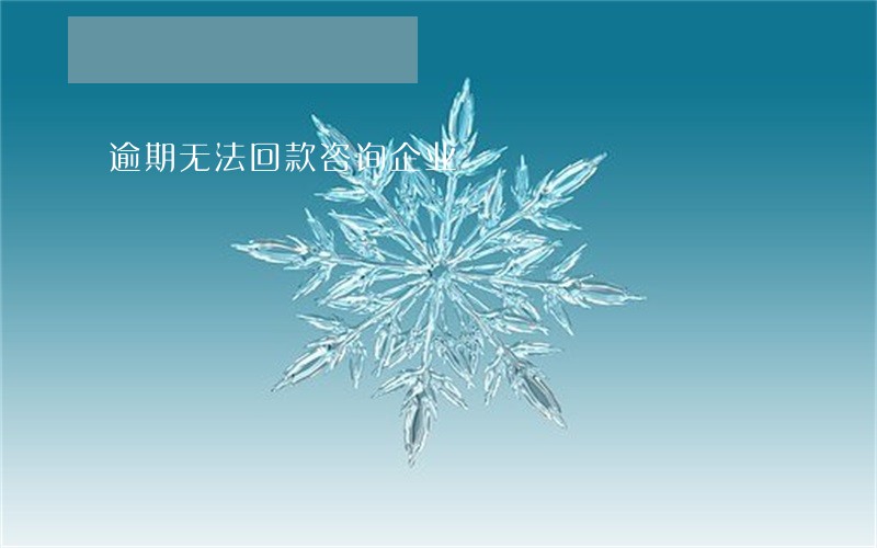 逾期无法回款咨询企业