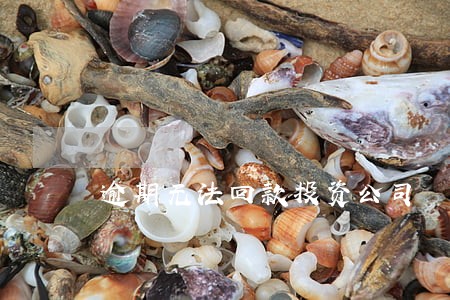 逾期无法回款投资公司 逾期无法回款投资公司