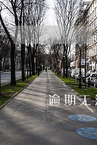 逾期无法安置的案例