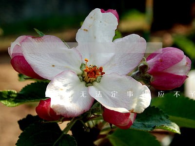 逾期无法定事由应不予执行