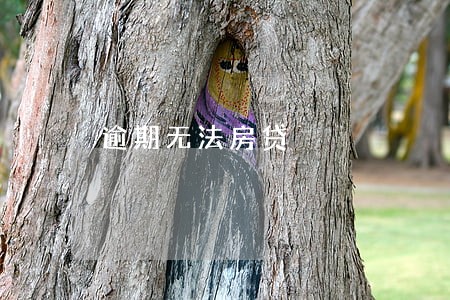 逾期无法房贷