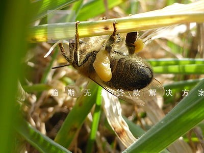 逾期无法贷款解决方案 逾期无法贷款解决方案