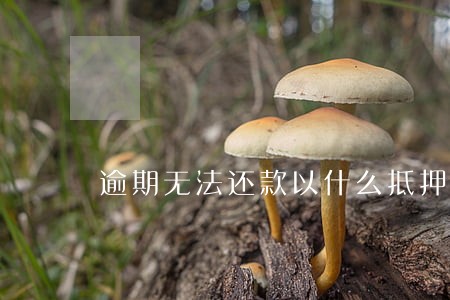 逾期无法还款以什么抵押 逾期无法还款以什么抵押