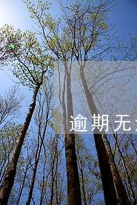 逾期无法面对家人 逾期无法面对家人
