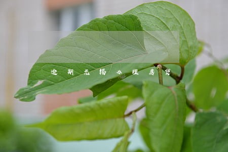 逾期无锡办理房贷 逾期无锡办理房贷