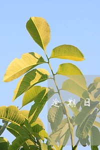 逾期日利息合法 逾期日利息合法