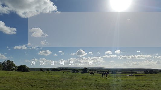 逾期日利息规定 逾期日利息规定