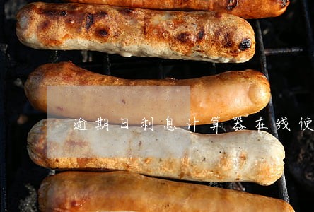 逾期日利息计算器在线使用 逾期日利息计算器在线使用