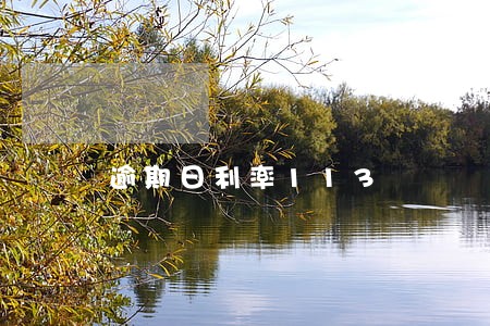 逾期日利率113 逾期日利率113